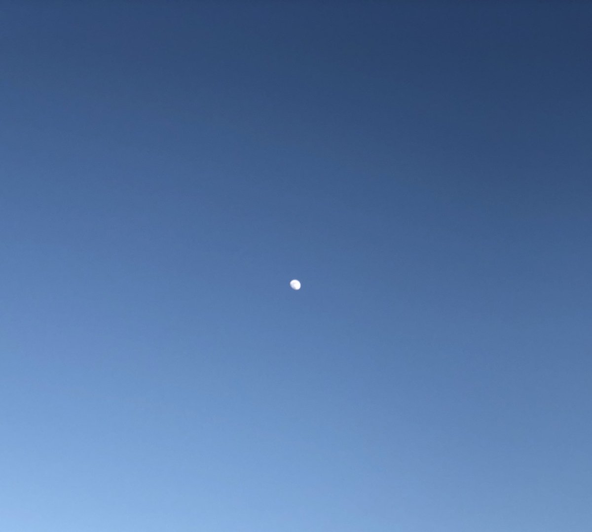 QueenMalarcher's tweet photo. These are my #LastShotsOfThisNight.
The #moon day or night is a #BeautifulSight! Letβs spend some #TweetingTime together tomorrow!β¨β¨β‘β¨β¨
Goodnight @DerronEShort @MR_JOE_FIXIT @IAMJamena @BieCorazon @TheJanelKWay @DagNabbitTammy @Target757 @abbadanmusa https://t.co/Kq7PQbID8J