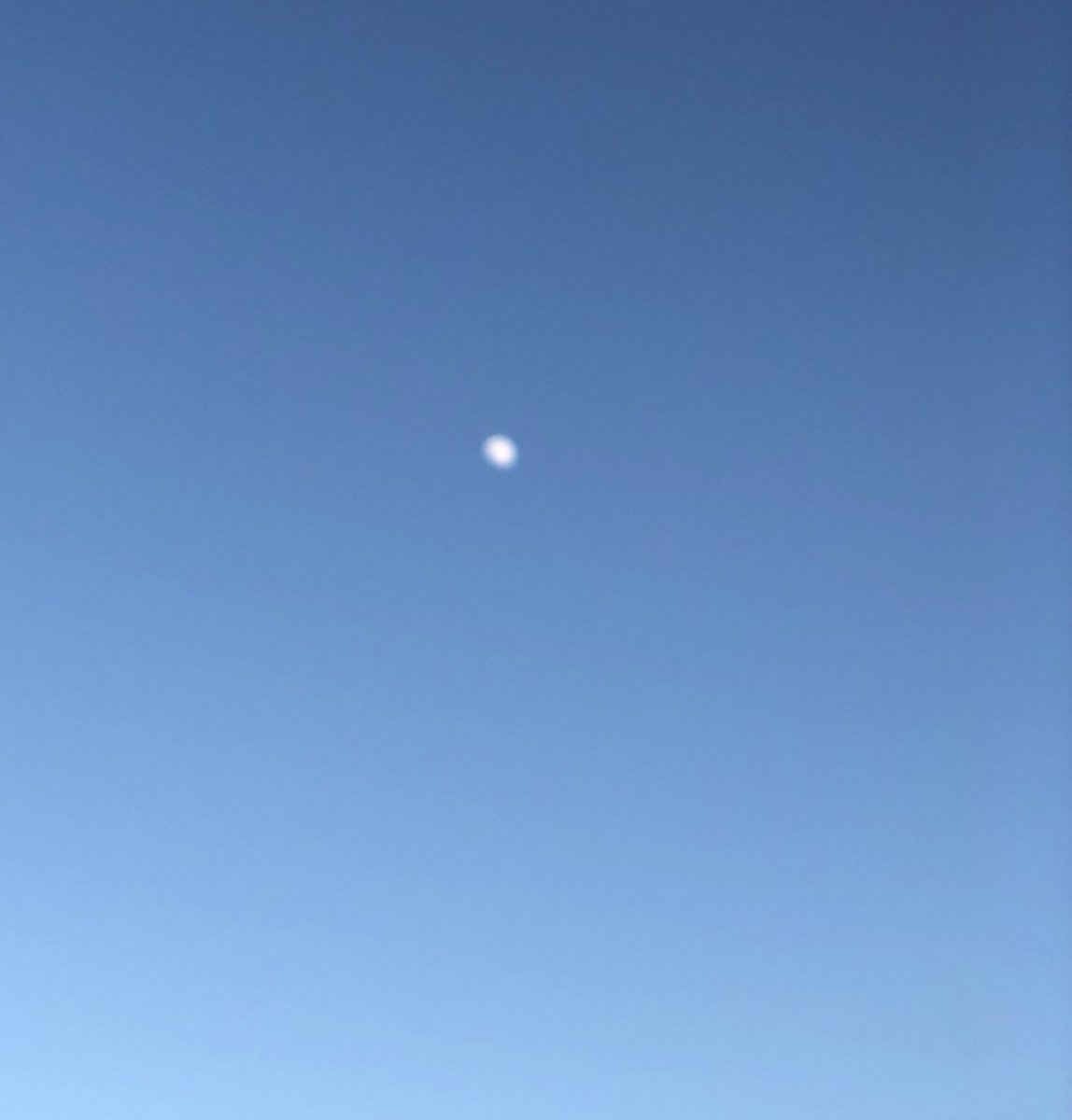 QueenMalarcher's tweet photo. These are my #LastShotsOfThisNight.
The #moon day or night is a #BeautifulSight! Letβs spend some #TweetingTime together tomorrow!β¨β¨β‘β¨β¨
Goodnight @DerronEShort @MR_JOE_FIXIT @IAMJamena @BieCorazon @TheJanelKWay @DagNabbitTammy @Target757 @abbadanmusa https://t.co/Kq7PQbID8J