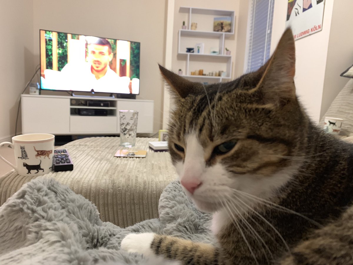 Milo judging the pettiness of all the girls on #LoveIsland 🌴