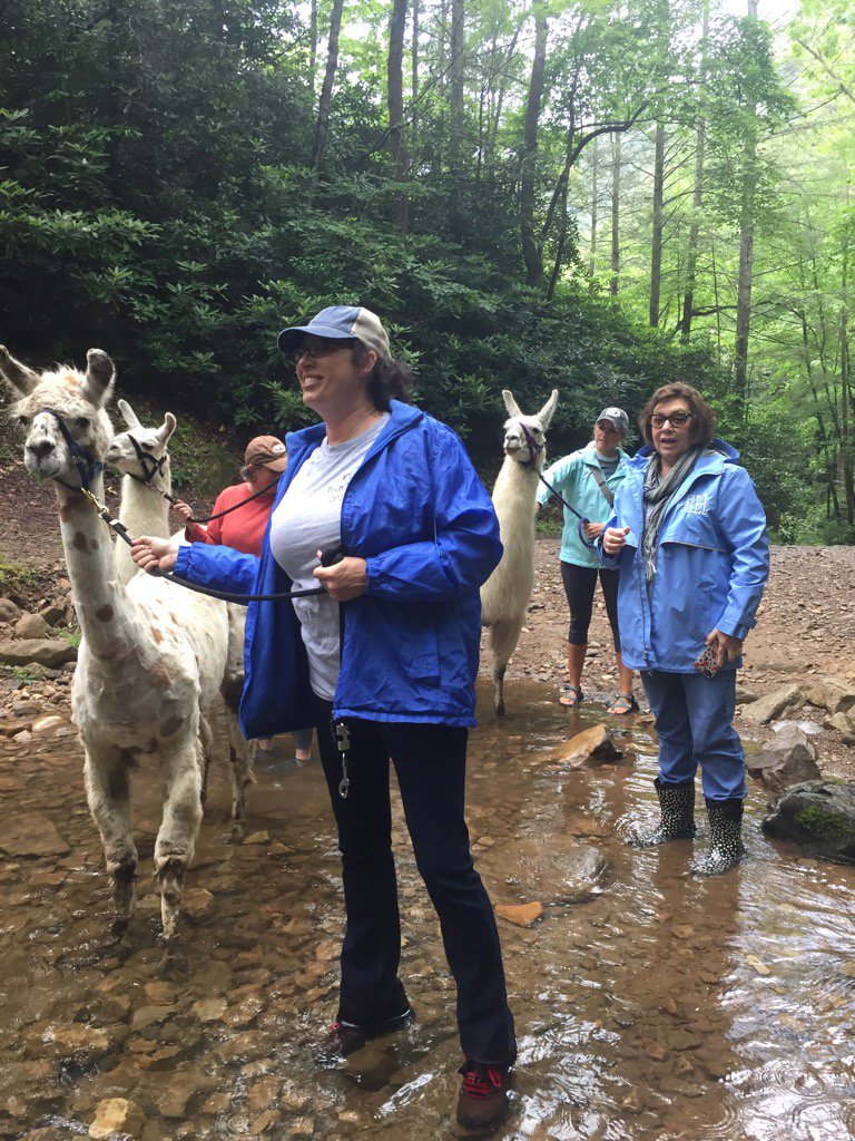 Pam Conley (@conleyconleyp) on Twitter photo 