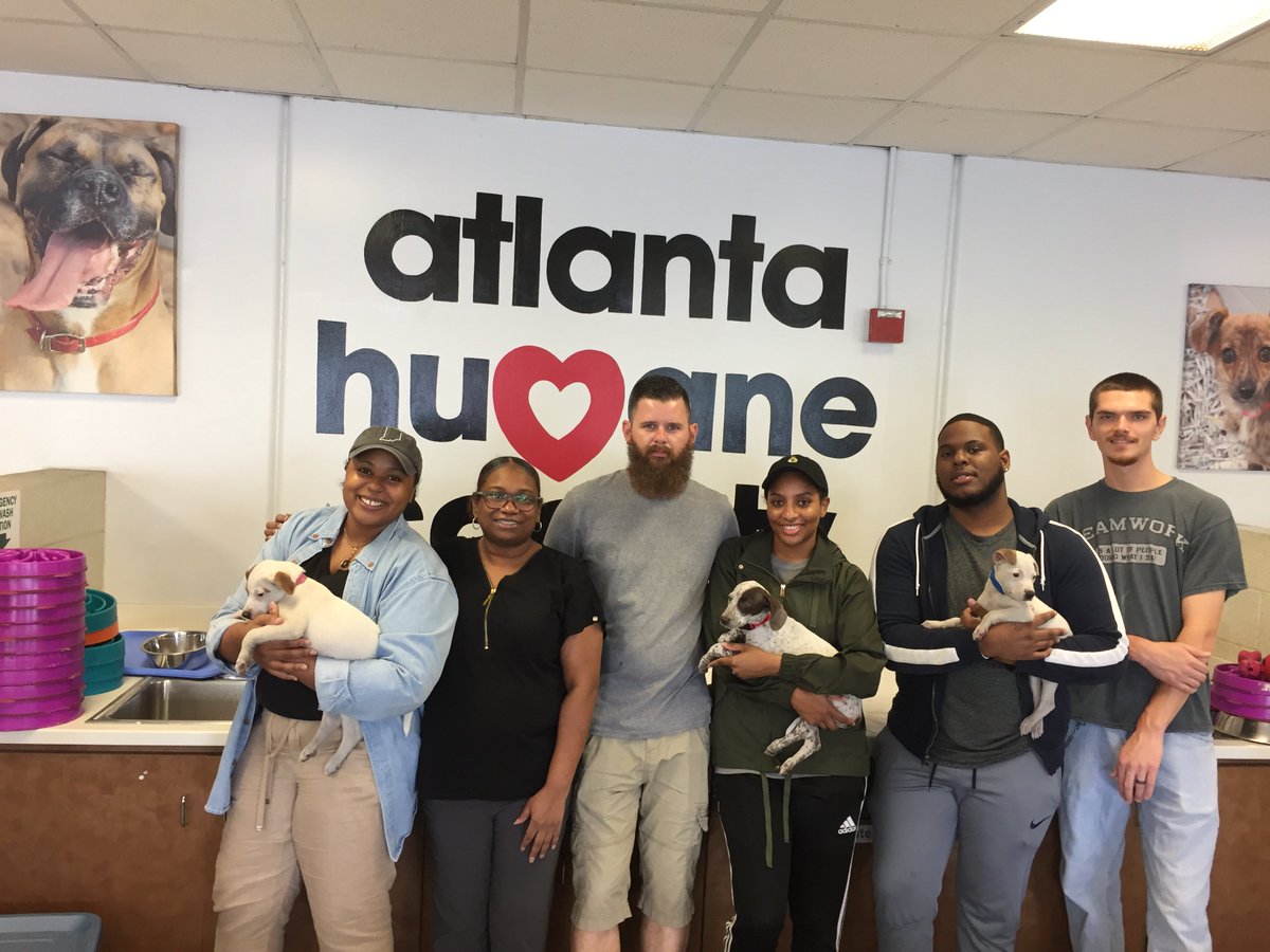 AmblingCompany's tweet photo. Arcadia Apartments volunteered at the @atlantahumane Society yesterday for their 2nd quarter community service project. They had a great time, helped take care of some furry friends, and had some good team bonding!

Way to help out your community! #ambling https://t.co/p9J4b8RCBz