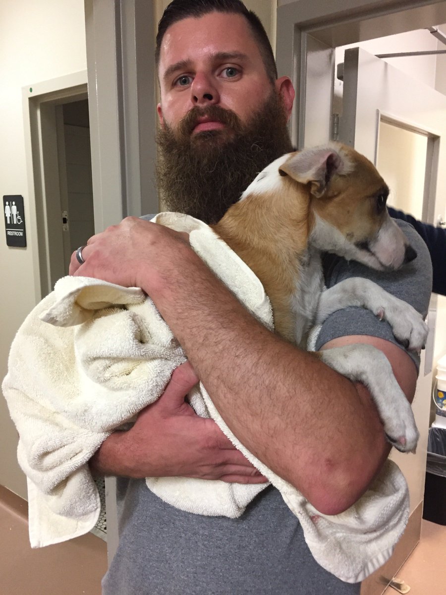 AmblingCompany's tweet photo. Arcadia Apartments volunteered at the @atlantahumane Society yesterday for their 2nd quarter community service project. They had a great time, helped take care of some furry friends, and had some good team bonding!

Way to help out your community! #ambling https://t.co/p9J4b8RCBz