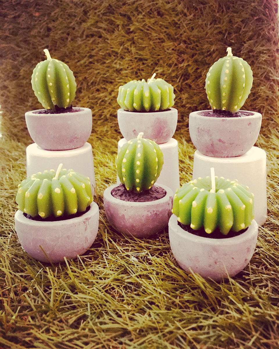 I found the cutest #cactus #candles. They are even in little cement pots!  These are too awesome to burn!