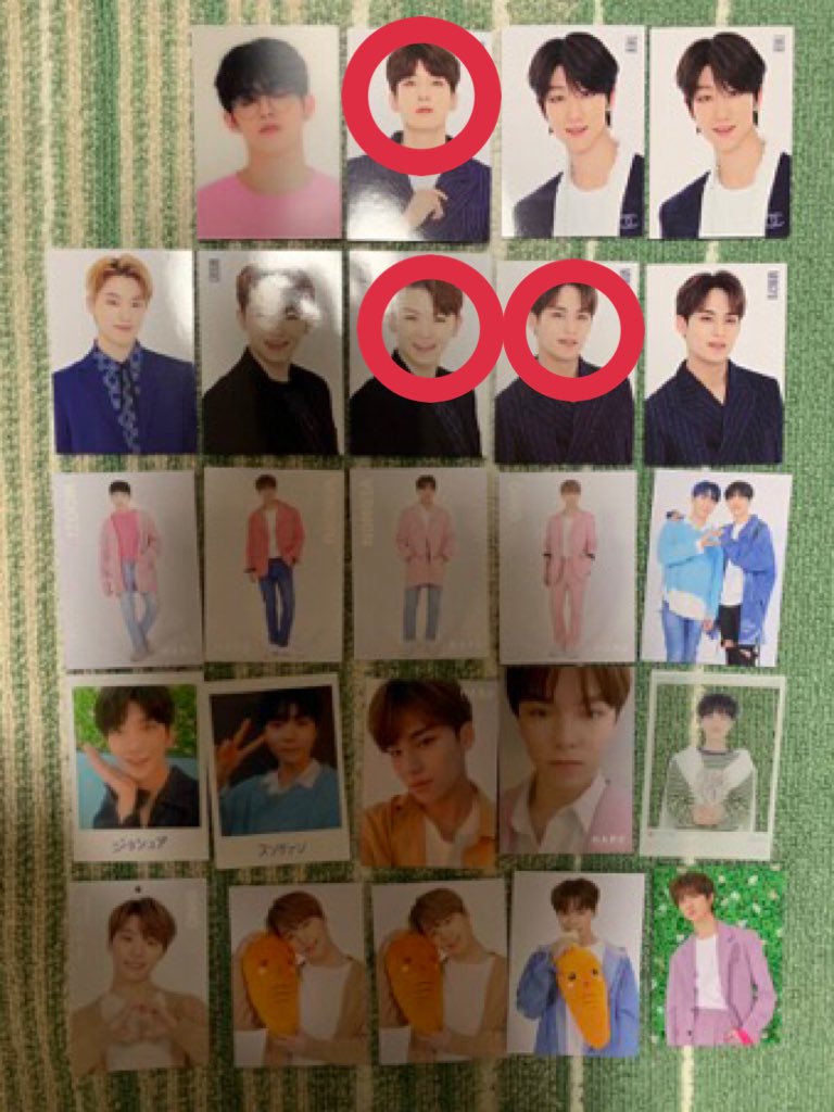 🩷🦊 \ あ ち ゃ ん /🐶🩵 tweet media