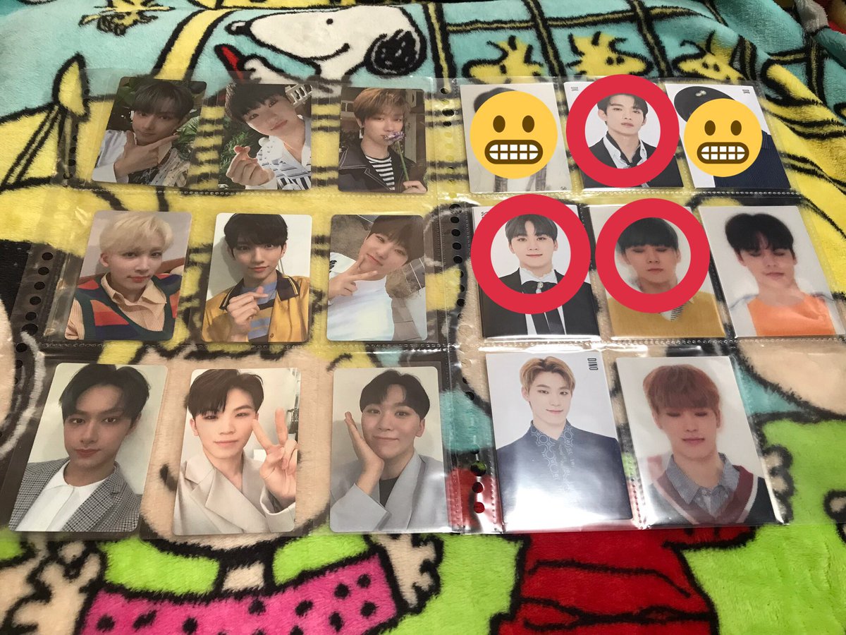 🩷🦊 \ あ ち ゃ ん /🐶🩵 tweet media