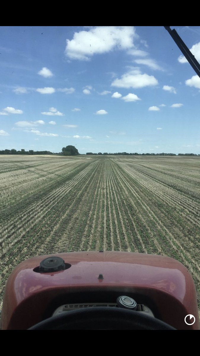 _Halloranm's tweet image. Same field, same variety 2017 and 2019.   @Bayer4CropsCA @BASF #233p