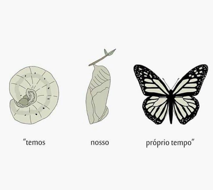 UmFilosofoCitou's tweet photo. https://t.co/VEeA33RQtd