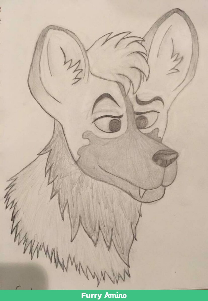 rubywolfart's tweet photo. Some old traditional sketches.
#traditionart #art #animals #animalart #rubywolfart #artist #animalartist #jaguar #africanwilddog #gemsbok #hybridanimalart #sketchbook #sketches #sketch https://t.co/4Yf4UQ59Pp