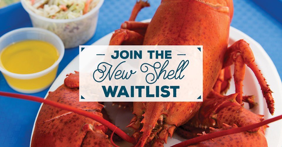 Dianna Muscari tweet media