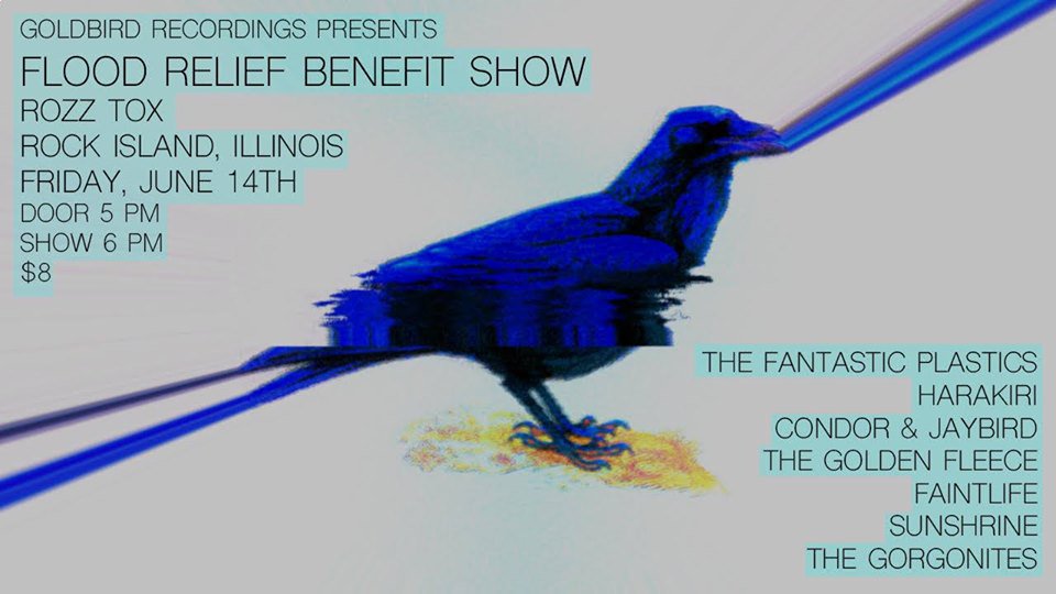 TOMORROW NIGHT: Yellow UFO artists <a href="/condor_jaybird/">Condor and Jaybird</a> &amp; The Golden Fleece are joined by lots of friends for a good cause, presented by Goldbird Recordings. Stacked lineup at the world famous <a href="/ROZZTOX/">ROZZ_TOX</a>. $8 or more if you can. ✨