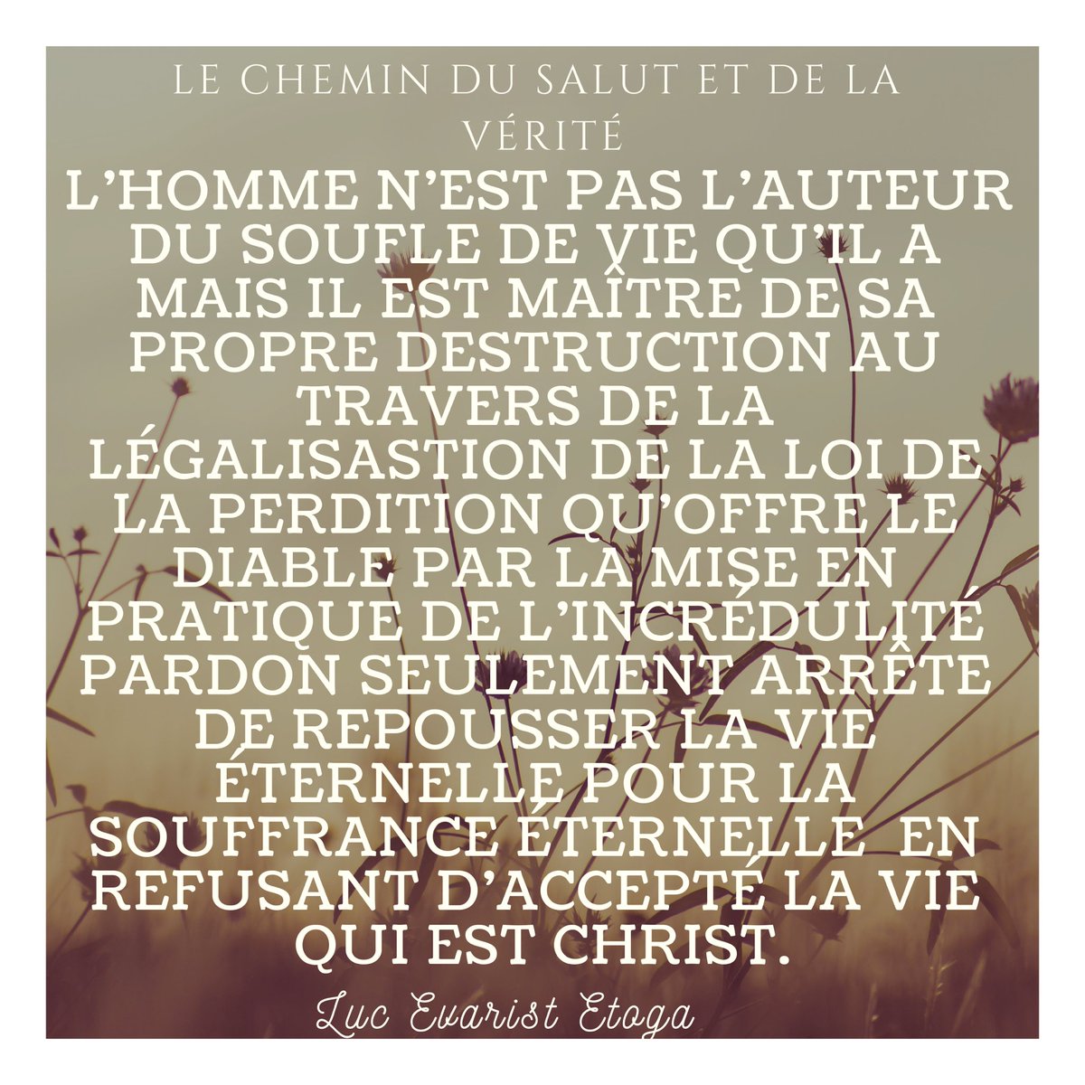 CheminVerite's tweet photo. https://t.co/KTymIdG8mp