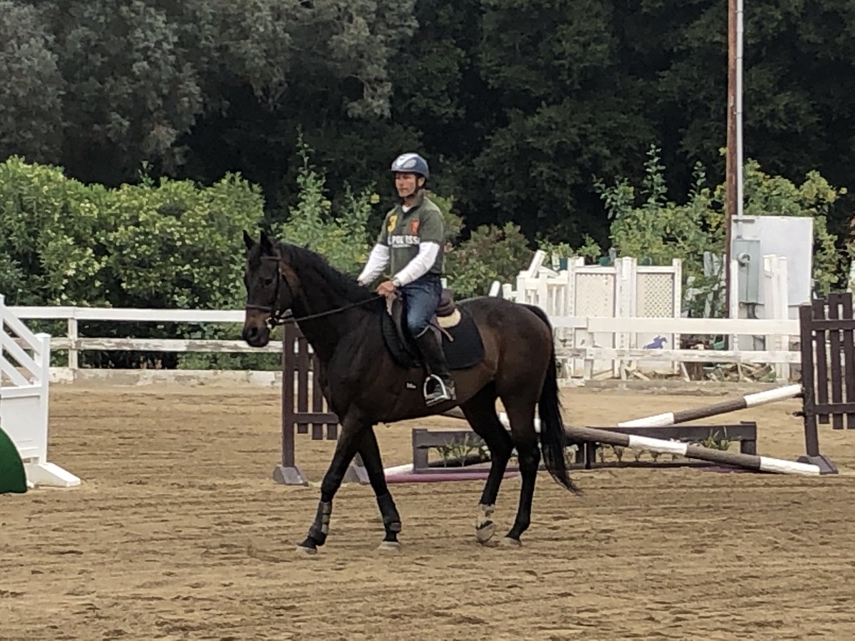 Maxwell is going so great with his trainer and me is keeping his trainer Foaled March 21, 2006 - OBSAUG'07 $40K Last raced 11/4/2009 @ Oak Tree Rescued at auction for $75 and adopted through SoCal TB Rescue 
sctbrescue.org