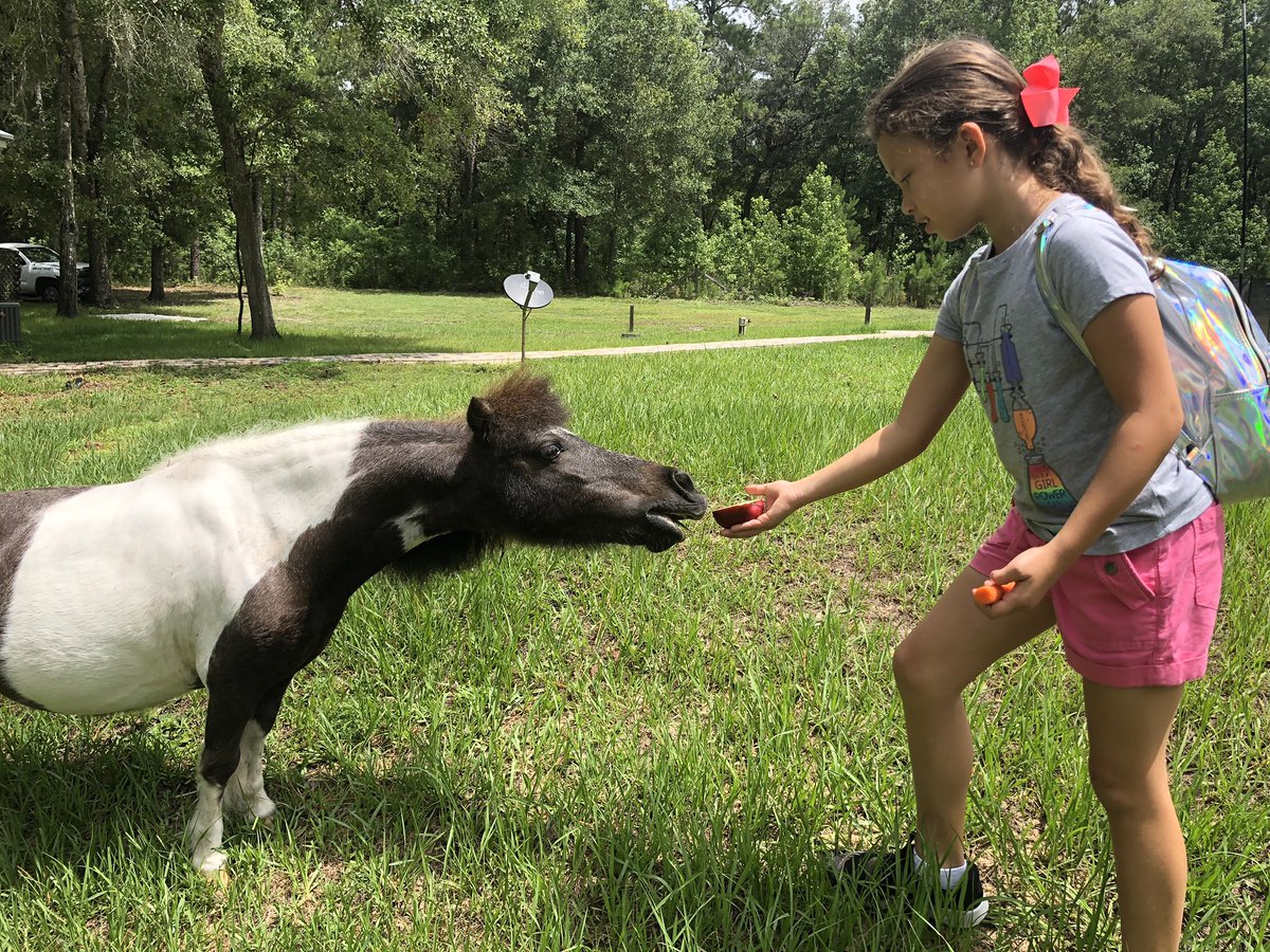 AutismJournal's tweet image. While Britt’s away at camp, her horses still get plenty of 💕&amp;amp; treats #TheVillage: