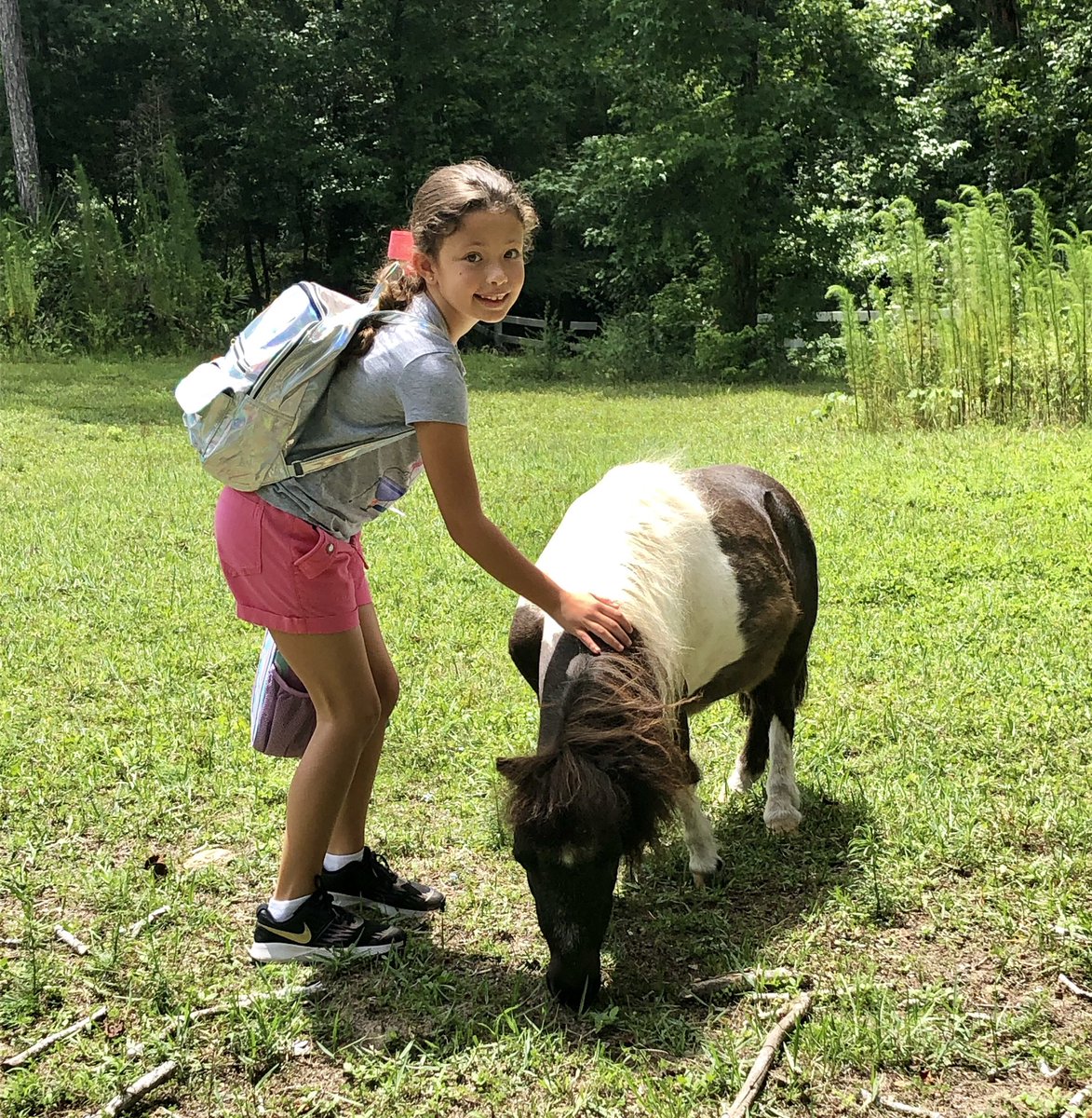 AutismJournal's tweet image. While Britt’s away at camp, her horses still get plenty of 💕&amp;amp; treats #TheVillage: