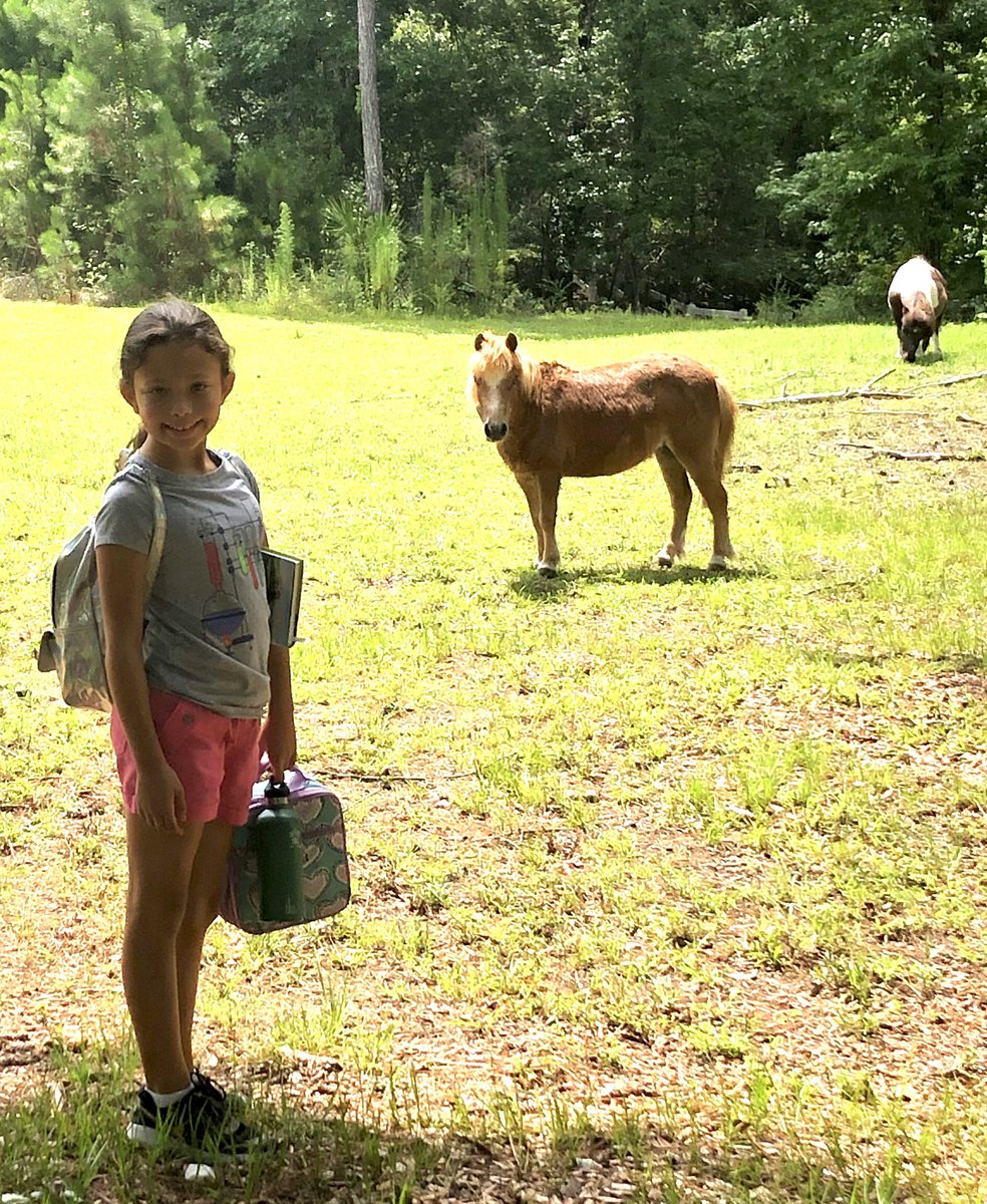 AutismJournal's tweet image. While Britt’s away at camp, her horses still get plenty of 💕&amp;amp; treats #TheVillage: