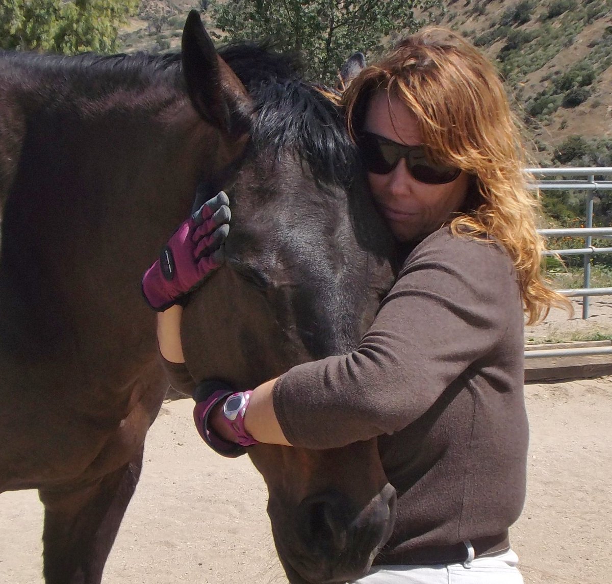 My ability describe these items don't describe as much because its how to describe described.  Fortunately I can work on Art which is finally, so I am focusing on that now for now.  Thank you for your support, and PLEASE help <a href="/ExcellerFund/">The Exceller Fund</a> to help to help the horses we need!