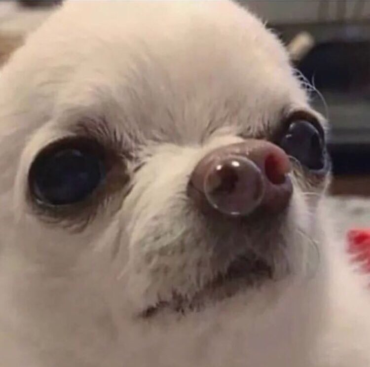 GreasyCarebear's tweet photo. can whoever tf is in charge of Instagram get they shit together bc sis i- https://t.co/DU2shXAXAH