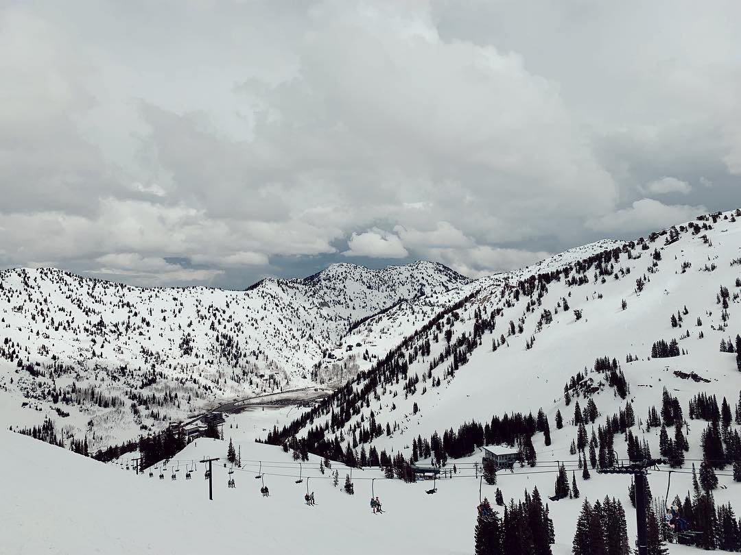 Snowpine Lodge tweet media