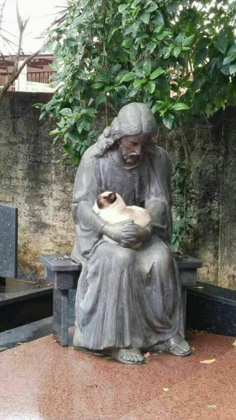 esqu1lofrenia's tweet photo. esse é o tweet https://t.co/Y9DCfI9vWf