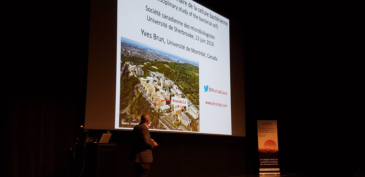 csm2019's tweet photo. Great talk by Yves Brun for the Murray Award!! https://t.co/kQ3Zv1OyEP