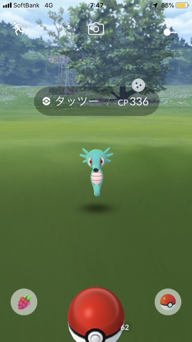 組長 Pa Twitter ポケモンgo 通勤途中で色違いタッツーget 早速進化させました 今日はいい日になりそう これで仕事も頑張るぞ 皆様にも色違いタッツー出ますように では行ってきます 皆様も気をつけて行ってらっしゃいませ ポケモンgo 色違い