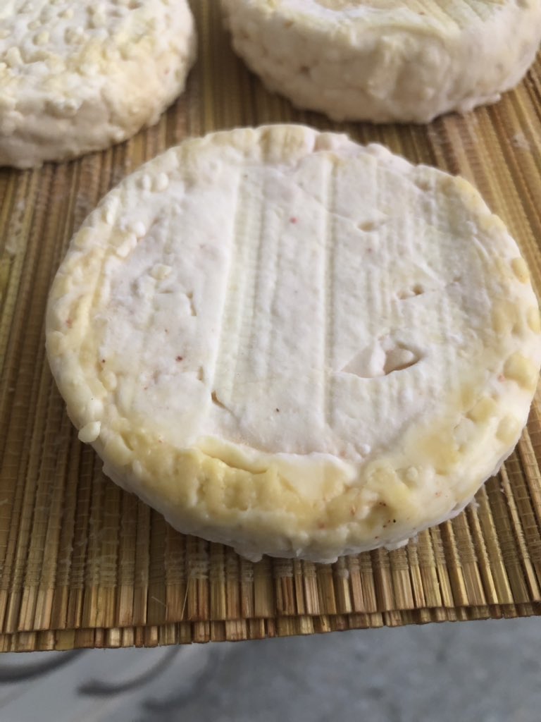 MateoBahamon's tweet photo. No se si sea la evolución del hongo pero así va el Petit Camembert! #QuesosCaseros https://t.co/pudQnyrifJ