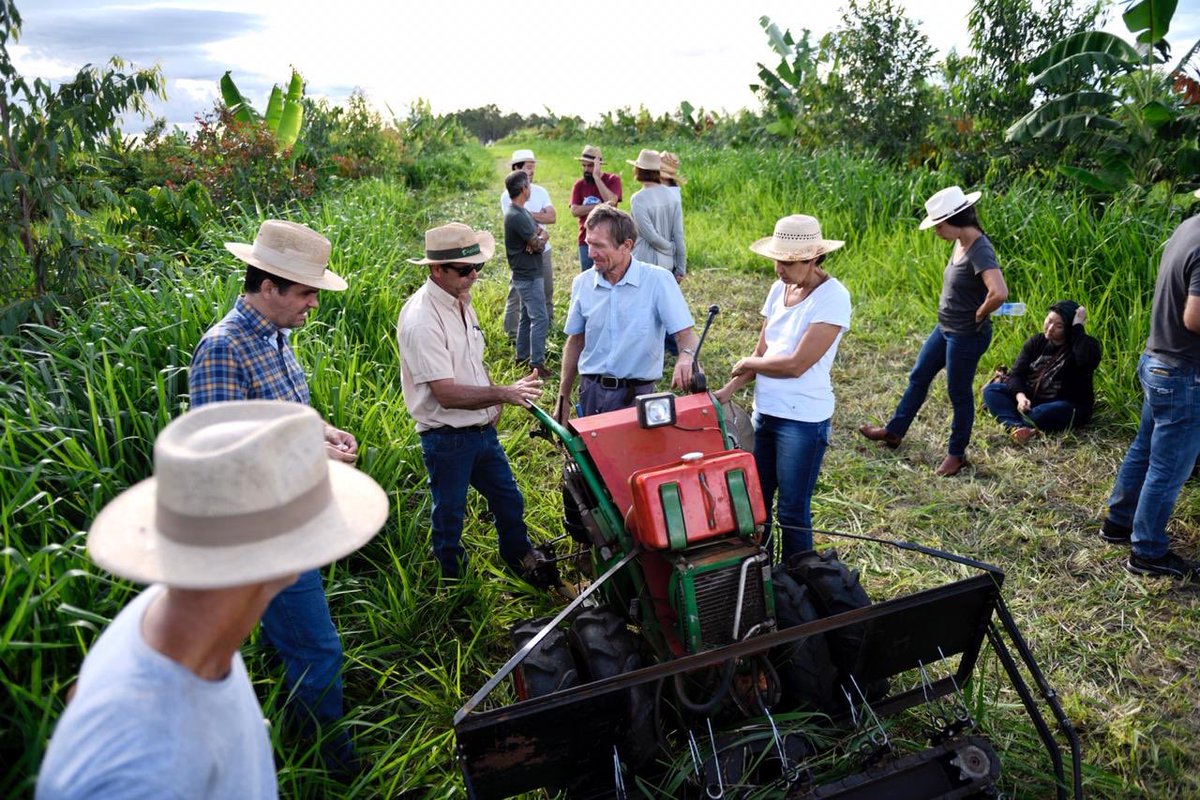 New machines for a new form of forestry. Ernst Götsch tests a prototype on this soy farm in Goias.