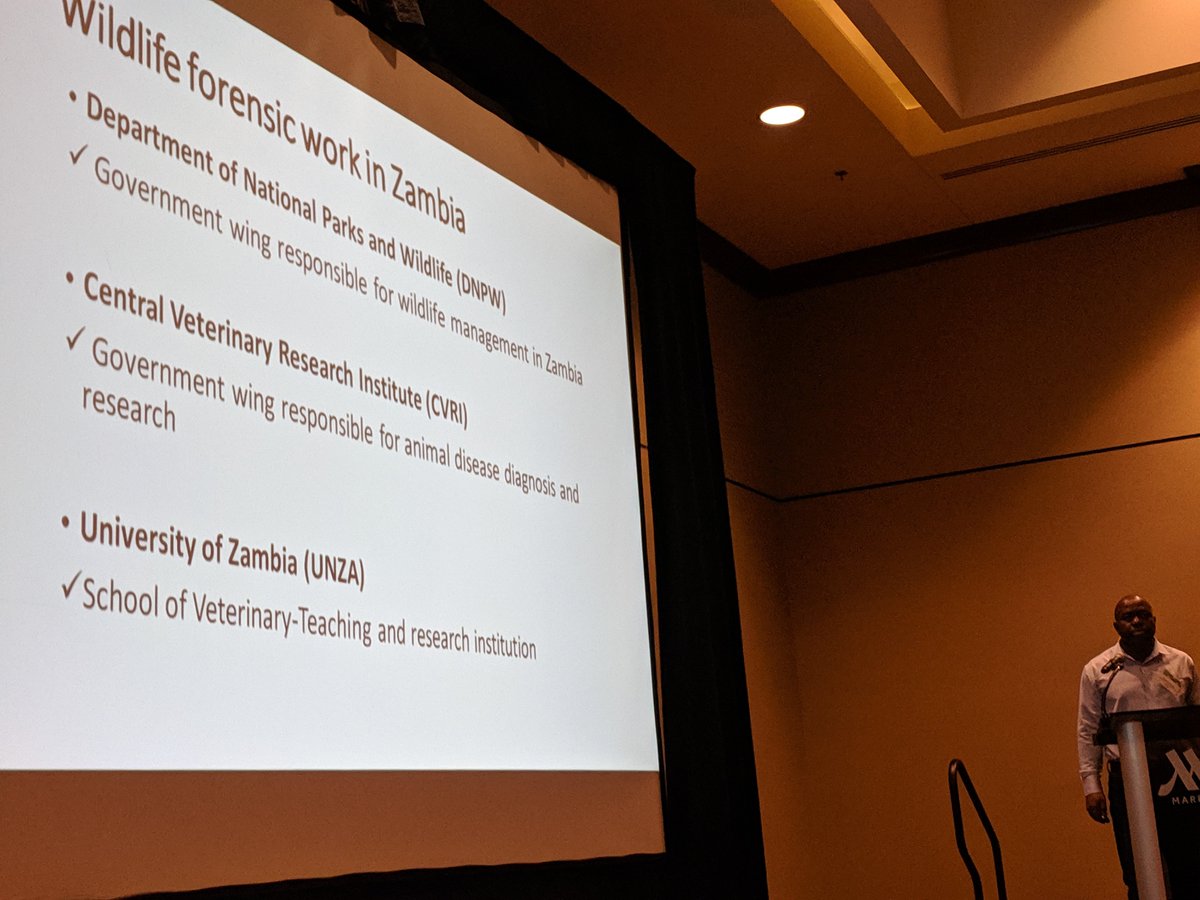 Sherryn_C's tweet photo. Three final very interesting and enlightening flash talks from #Tanzania #Zambia and #Malawi , great to see such #forensic #capacitybuilding happening in countries of #africa and #asia that are sources of the #IWT . Thanks to sponsors of the #SWFS2019 meeting! https://t.co/TgheF6KqBl