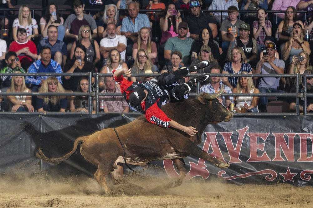 TwisTEDRodeo's tweet image. Aaron Mercer has been on a tear in the @bfsonly, with four wins and two runner-up finishes in a little more than a month. His @ALPHABULLinc win in Moose Jaw, Saskatchewan, moved him to No. 1 in the @PendletonWhisky World Standings. twistedrodeo.com/2019/06/13/mer…