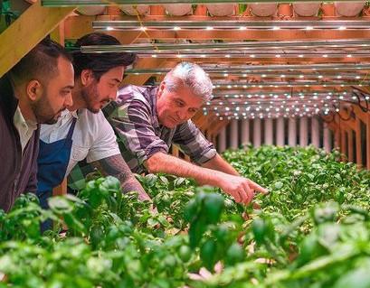 Friday is the last day to RSVP for the Balance Farms tour and program. conta.cc/2R2N4cH