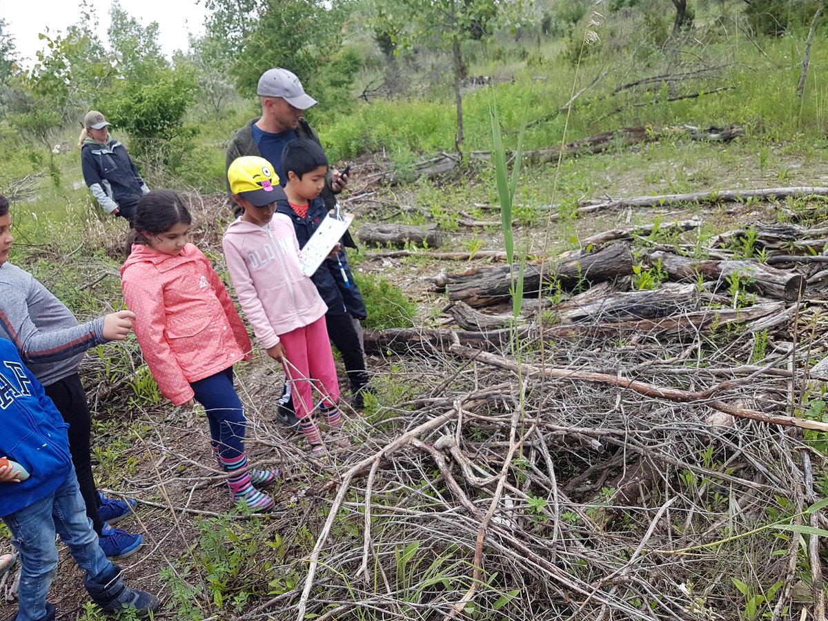 socamamma's tweet photo. Scavenger hunting with 3S
@fighting_island @talbot_trailps https://t.co/An1ADLJFBi