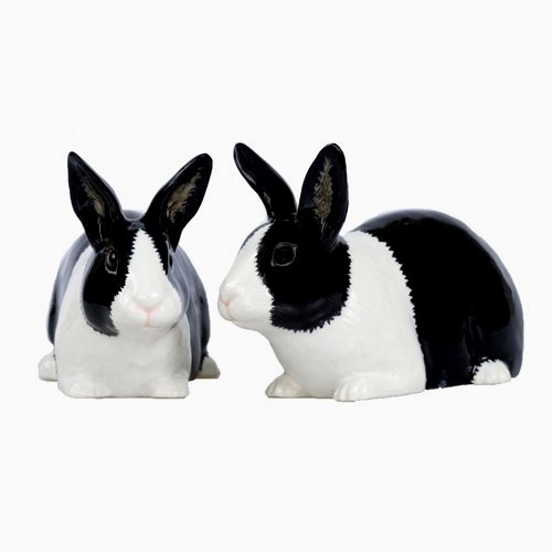 Wantthat0ne's tweet photo. Quail Ceramics Dutch Rabbit Salt &amp; Pepper Pots
Details: https://t.co/iodOT4JlfT https://t.co/iMB0HGEDEU