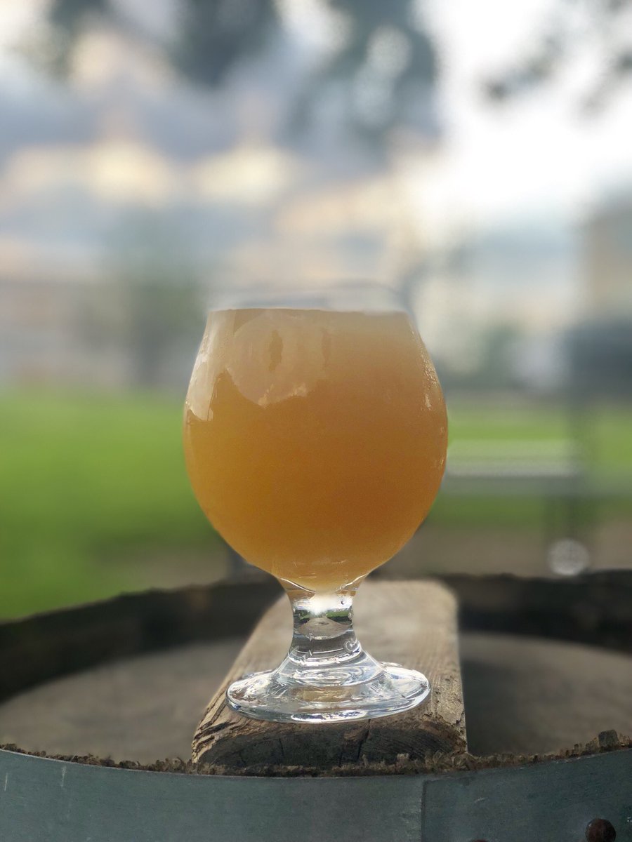 New: Berliner Weisse on tap tomorrow at 3p! The citrus note from the yeast &amp; the Macintosh Apples gives this Berliner an amazing taste &amp; smell. The tart &amp; sweet balance will keep you coming back for more! It’s like breakfast in a glass! All you need is a side of bacon &amp; eggs!