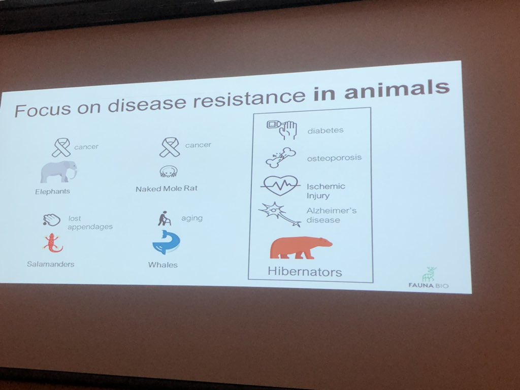 tzodimi's tweet photo. @CLSIstartups Are you taking a wholistic approach to drug discovery? Talk to Oppilotech #fastshowcase #Blowyourtrumpet https://t.co/9xAt25Zesh