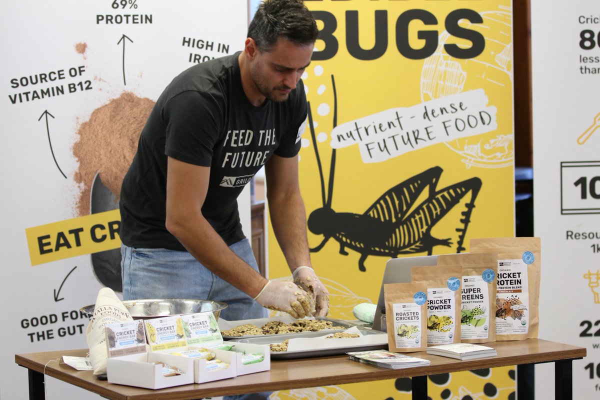 StRitasCollege's tweet image. Yr 11 Food &amp;amp; Nutrition students were today visited by @GriloProtein, exploring and tasting the nutritional and sustainable benefits of incorporating crickets and other insects into our diets. #sustainableliving #sustainablefood #foodandnutrition #girlseducation