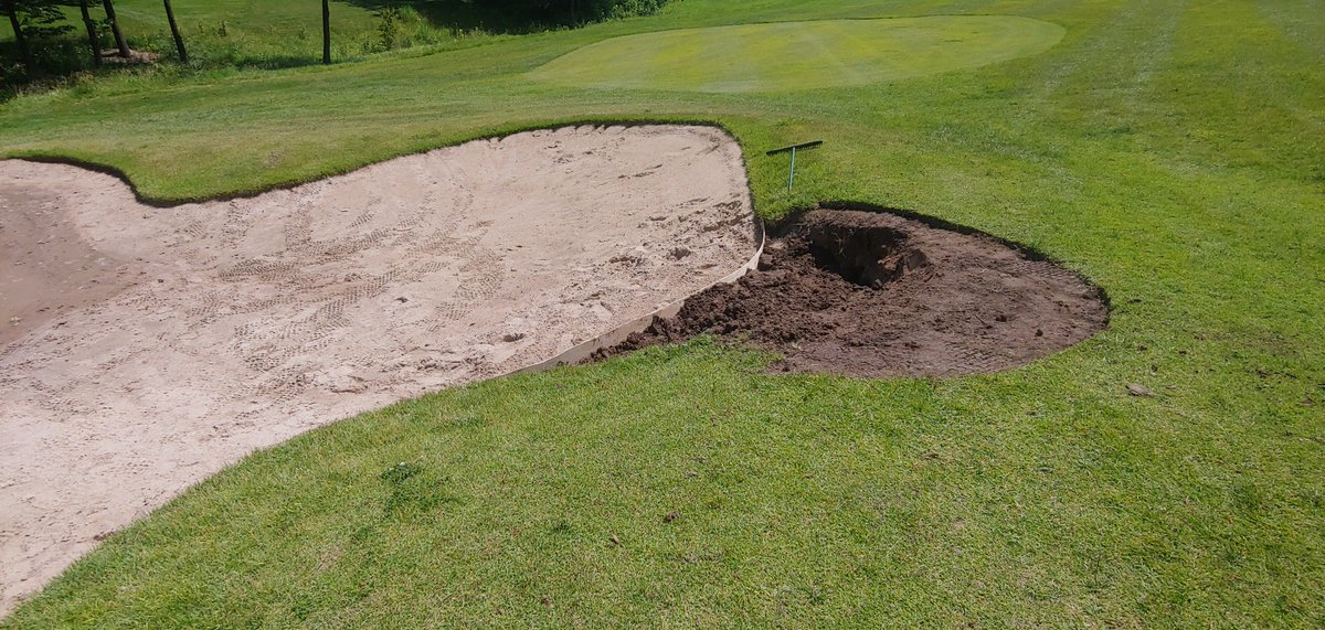 WhitmoorCCGrounds tweet media