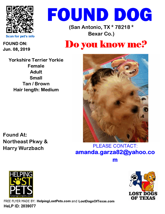 LostDogTX's tweet photo. Facebook link https://t.co/W6K4eGOKGw #Bexar #LDOT FOUND DOG Unknown 06-08-2019 https://t.co/nxQTLpSGBz Bexar Co., San Antonio (Northeast Pkwy &amp; Harry Wurzbach), TX 78218. Unknown/ Female *** Yorkshire Terrier Yorkie *** Tan / Brown/ Adult/ Small/ Hair Length is Medium/.

CONT… https://t.co/T2VIKP6Cc4
