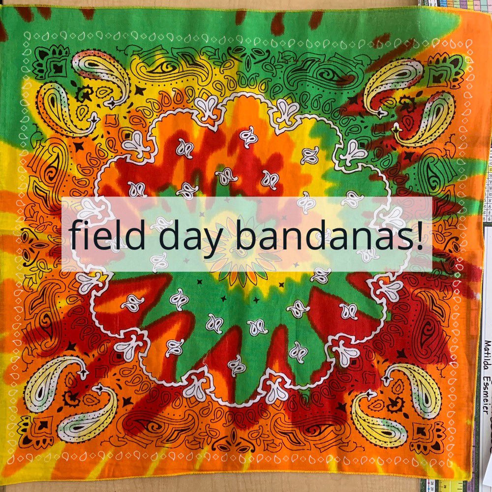 qaecolando's tweet photo. Hello everyone. We just found out our field day colors it is rainbow #Piera and Lewis https://t.co/fDJAgBaNZb