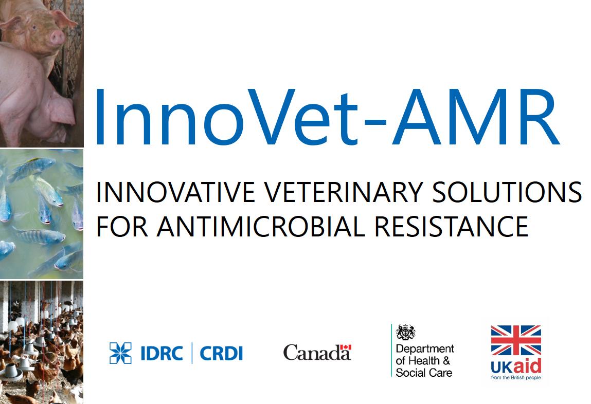 Livestock_IDRC's tweet image. Thank you to all who participated at the 1st day of our inception workshop at @IDRC_CRDI on #AntimicrobialResistance. We had the pleasure to learn from many researchers working on 11 funded projects for #InnoVetAMR @DHSCgovuk @UKAidDirect

See 11 projects: bit.ly/2XDSnC3