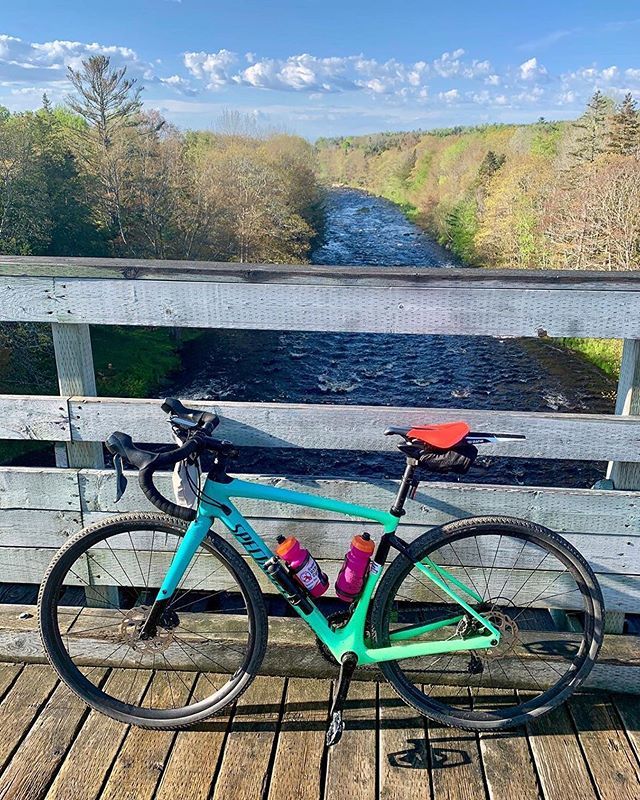 BikesWaterdown's tweet photo. +1 RT @specialized_ca: Soak in as much nature as you want with the comfiest saddle around 😏

#iamspecialized #specializeddiverge #mimicsaddle #mimictech #nopainmoregain #rideyourbike | Photo: @alicia_m_francis 📸 https://t.co/hyBETzyevx https://t.co/qpMaw19qCj