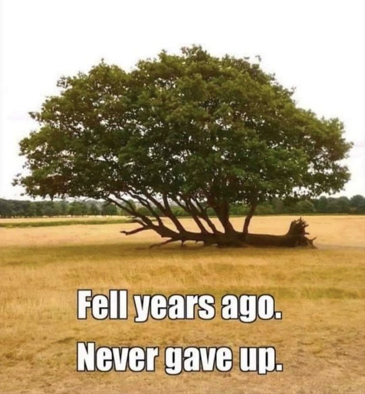 SpotsyPrincipal (@spotsyprincipal) on Twitter photo 