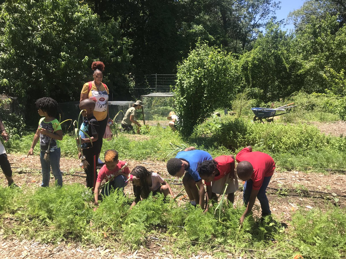 Christina Hanson (@ilovelearnlead) on Twitter photo <a href="/HendleyES/">Hendley Elementary</a> had so much fun at the Washington Youth Garden today😁Thank you <a href="/_remy_kay/">Remy Mallett</a> <a href="/TeeW1975/">Tanya Williams</a> @firstgradedayz! <a href="/HendleyES/">Hendley Elementary</a> had so much fun at the Washington Youth Garden today😁Thank you <a href="/_remy_kay/">Remy Mallett</a> <a href="/TeeW1975/">Tanya Williams</a> @firstgradedayz!