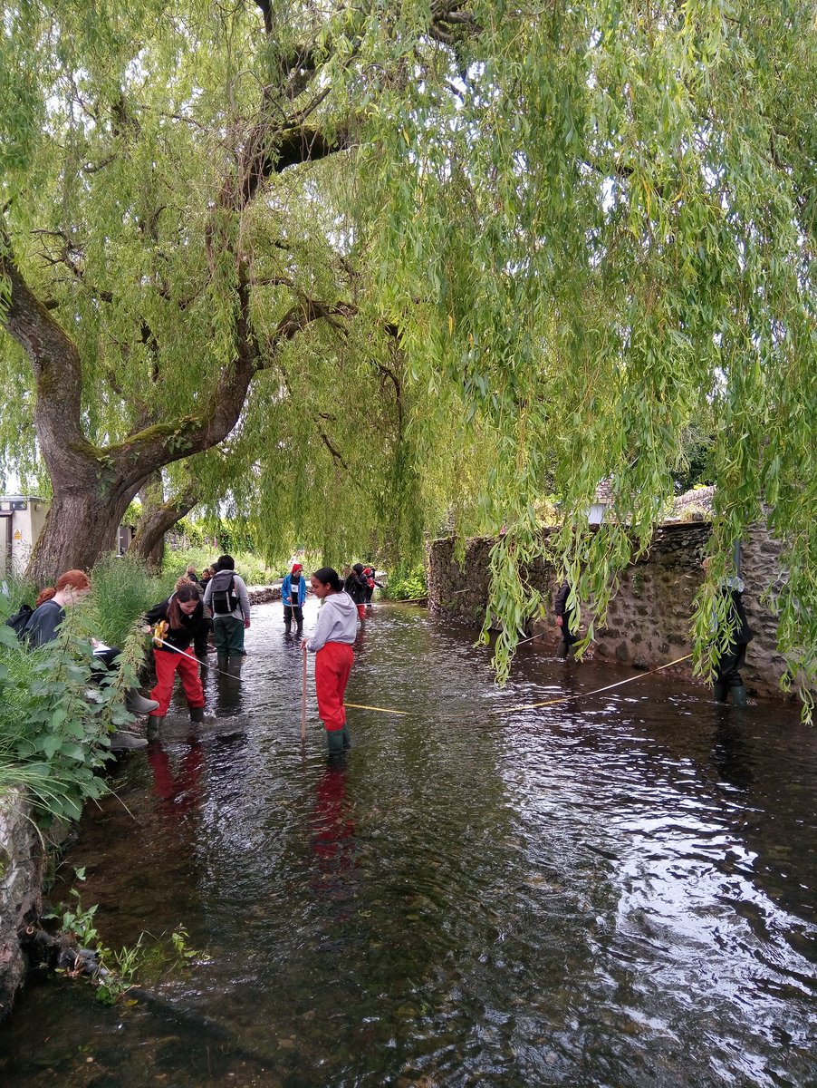 NHPUpperSchool's tweet photo. Year 7 braving the bracken to collect their Geography coursework data today #dothegeographygettheicecream #cartmel #lakedistrict #cumbria #getoutside #teamwork @iapsuk @RGS_IBG @OrdnanceSurvey @HalesofCartmel @CastleHeadFSC #castlehead @NottingHillPrep https://t.co/oG7dj8Ucse