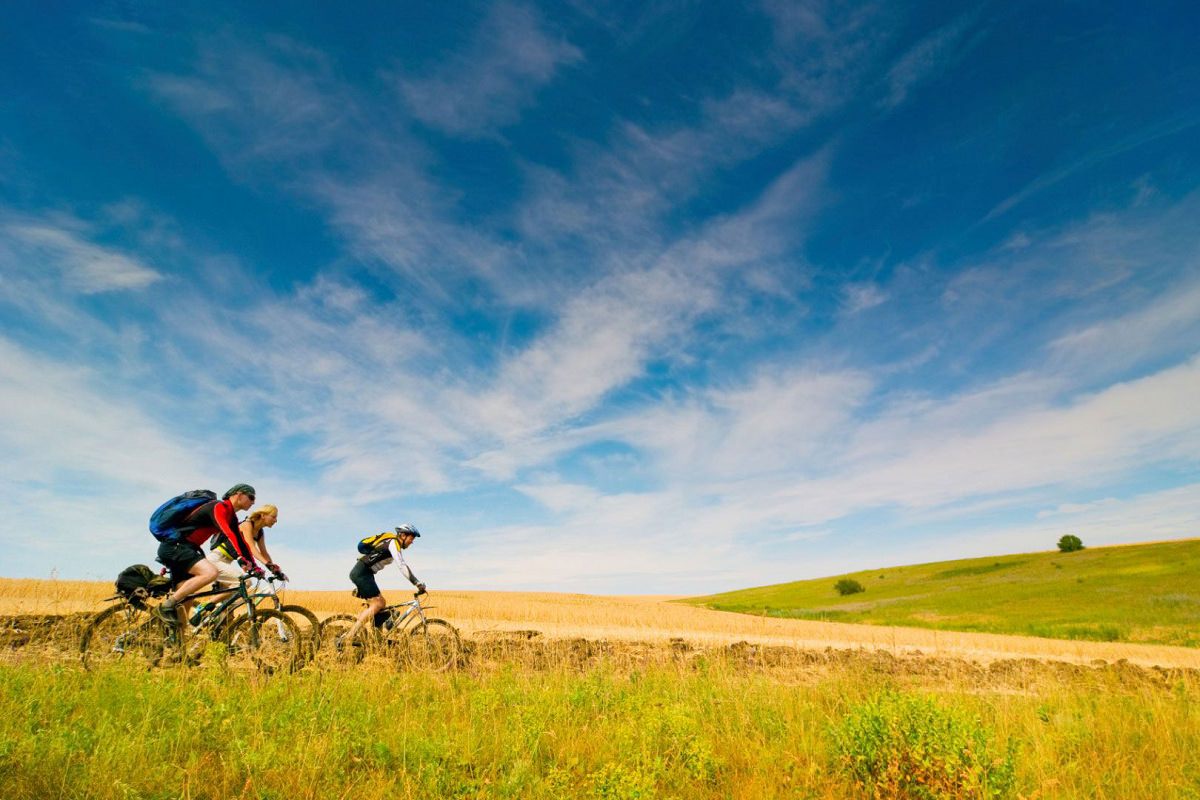 ReShapingKC's tweet photo. As the days get longer, and we start to dry out a bit we're reminded that it's the best time of the year to take your #fitness #outside. Here are six research-backed perks of al fresco exercise. https://t.co/Y1YTtHpTod https://t.co/8T9jIWG6ae
