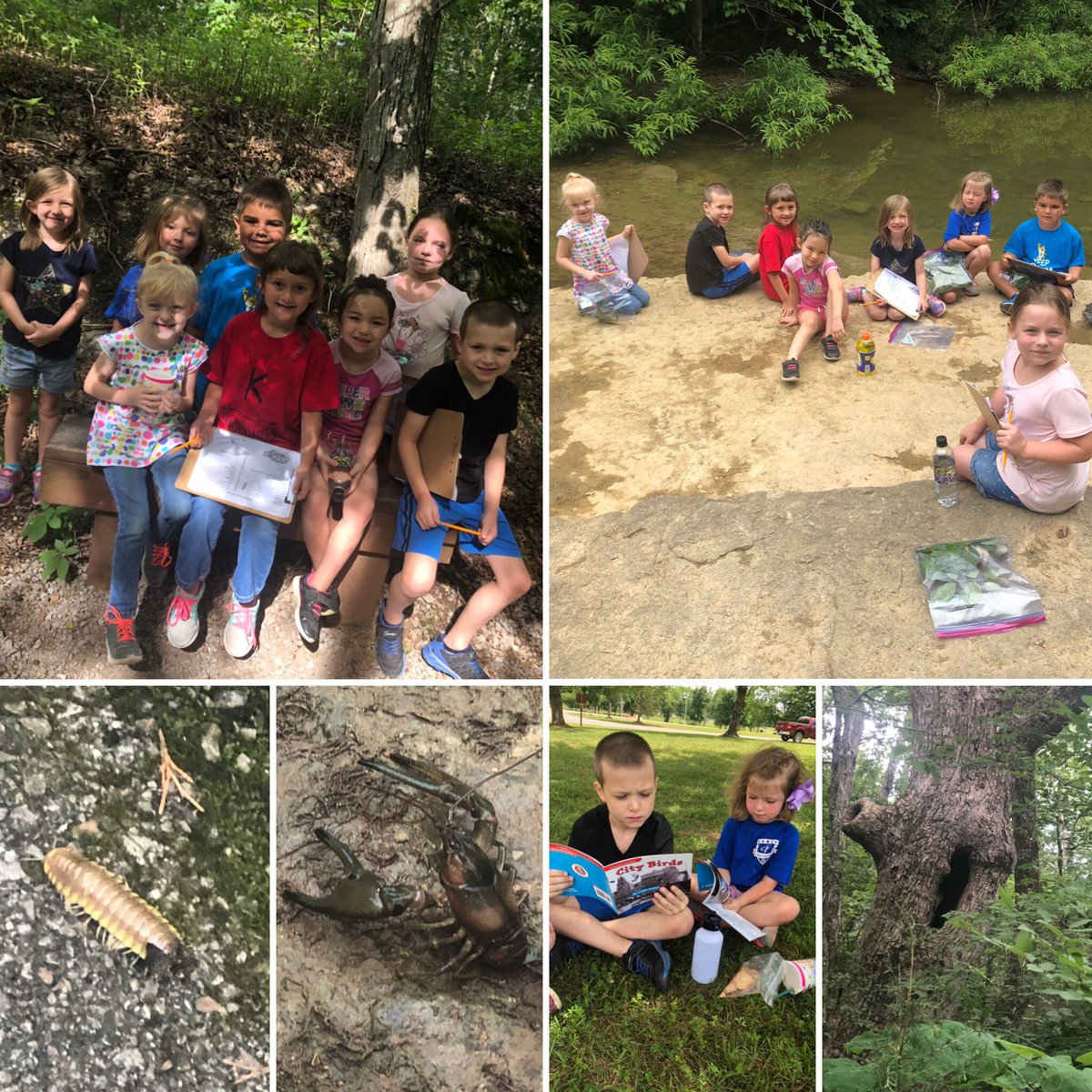 edgellcation's tweet photo. These are a few of my favorite things... Today we went on a nature hike! We referred to animals and their surroundingsโ our main topic from camp last week. I love learning with and teaching the littles ๐๐ @ChristianaES1
#EdgellFamily #littlelearners #CampWildcat2019 https://t.co/bUA7lYNtyN