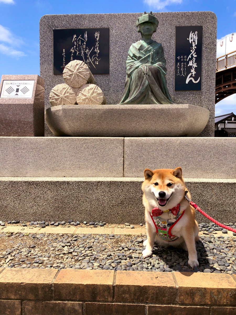 昨日は予想に反して晴れたので、あやめを見に行ってきたよ♪キレイだったけど風が強かったよー彡(-ω-；)彡ﾋｭｰﾋｭｰ(潮来Ver.)