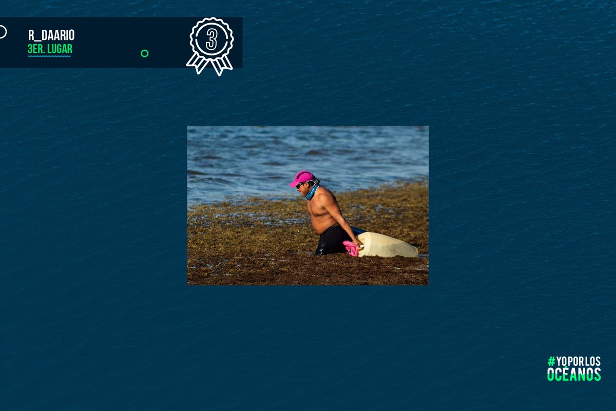 ¡Gracias a todos los que participaron en #YoPorLosOcéanos! Les compartimos la lista de las fotografías ganadoras. En breve nos pondremos en contacto con cada ganador(a). Gracias a los más de 100 participantes. Sigamos haciendo eco de la necesidad de voltear a nuestros océanos.