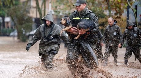 Drisa2010's tweet photo. #CarabinerosOrdenyPatria

Por su nobleza...hoy estamos con ellos https://t.co/2dNXuxSI8t