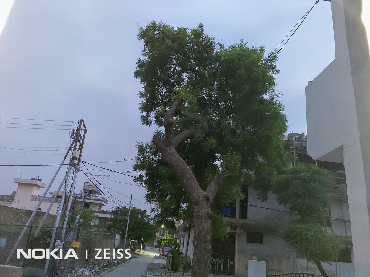 Altmashk3's tweet photo. #WindyMorning #ShotOnNokia8.1 #CaptureMore #Expectmore #Nokia #HMDGlobal @nokia @NokiaMobile @NokiamobileIN @ZEISSLenses @sarvikas @mehta_ajey @TheShroffster @SeicheFlorian @PekkaRantala4 @nokia_anew @NokiamobBlog @Nokiapoweruser @NokiaFanss @LoveNokiaBlog @NokianChetan ππ·ππ https://t.co/hv5xXWQaux