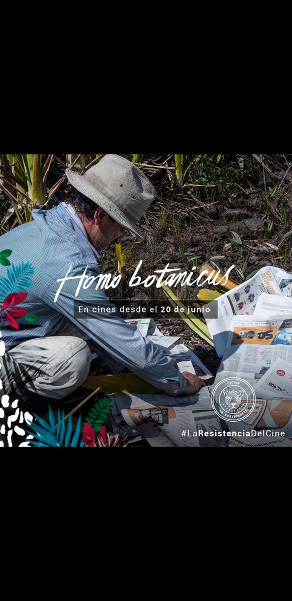 ICNUNAL's tweet photo. El @ICN_UN invita a ver el documental "Homo Botanicus" en donde el profesor Julio Betancur y el estudiante Cristián Castro relatan los diferentes procesos en las salidas de campo.
Estará disponible a partir del 20 de Junio en la nueva Cinemateca Distrital.
https://t.co/1BpqQEavpH https://t.co/zvshp9N8Pa